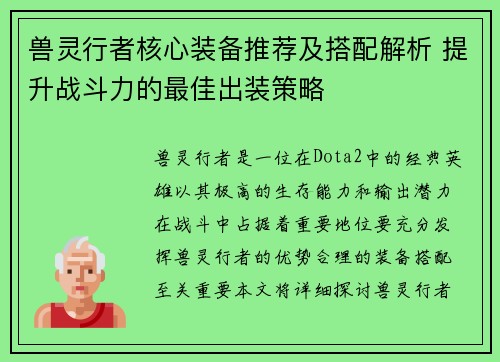 兽灵行者核心装备推荐及搭配解析 提升战斗力的最佳出装策略